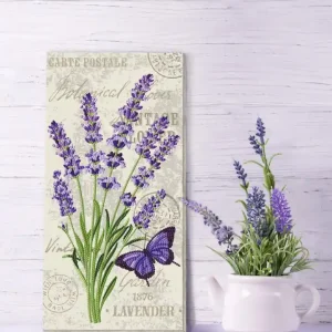 DOTZ® BOX Adultes – Brins de lavande Nouveauté