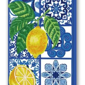 Jusqu’à Épuisement Des Stocks DOTZ® BOX Adultes – Mosaïque et agrumes