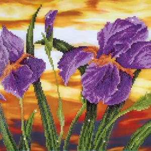 Kit DIAMOND DOTZ® Iris au coucher du soleil Commander Maintenant